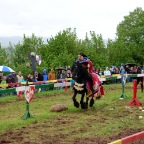 DSC_0134.JPG