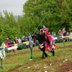 DSC_0160.JPG